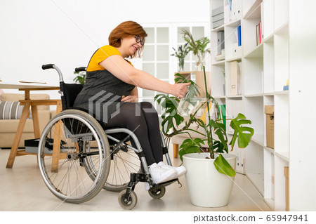 Watering domestic plants Watering domestic plants 65947941