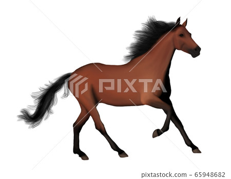 Akhal-Teke horse. Thoroughbred Turkmen horse. Akhal-Teke horse. Thoroughbred Turkmen horse. 65948682