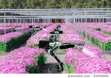 Automatic agricultural technology robot arm watering plants flower garden. Automatic agricultural technology robot arm watering plants flower garden. 65949006