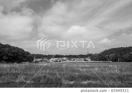 Hojobeol, Siheung-si, Gyeonggi-do 65949321