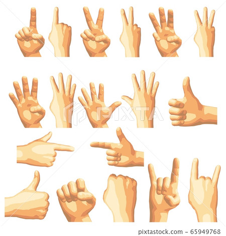 Realistic human hand gesture set in five tones. 65949768