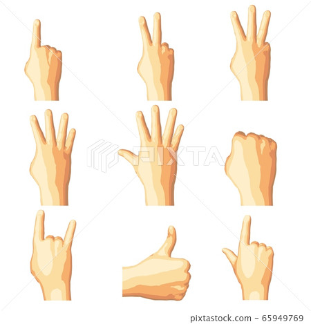 Realistic human hand gesture set in five tones. Realistic human hand gesture set in five tones. 65949769
