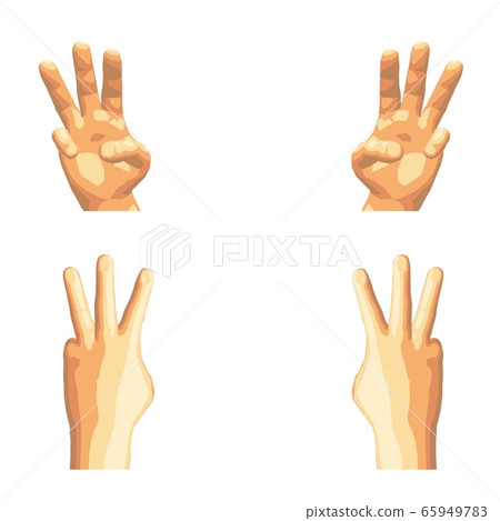 Realistic human hand gesture set in five tones. 65949783