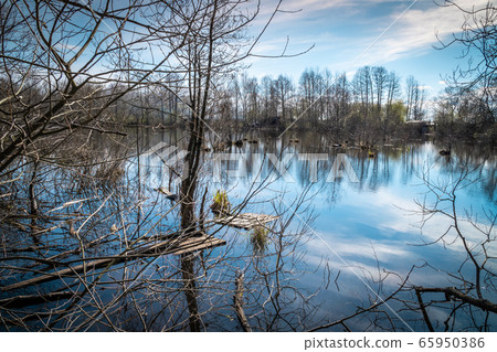 Russia. Saint-Petersburg. Spring views of landscape parks and squares of Saint Petersburg Russia. Saint-Petersburg. Spring views of landscape parks and squares of Saint Petersburg 65950386