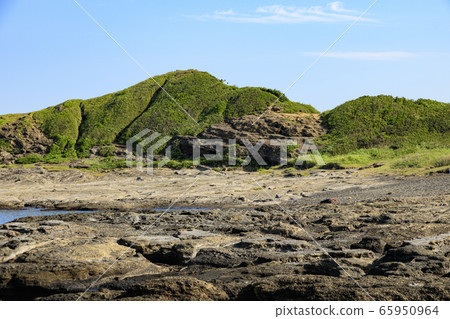 湘南（初夏） 65950964