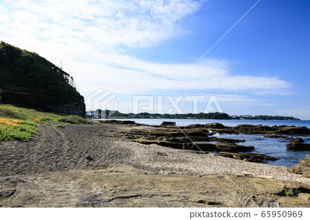 Shonan (early summer) 65950969
