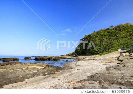 Shonan (early summer) 65950976