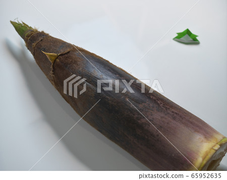 竹筍 竹筍 65952635