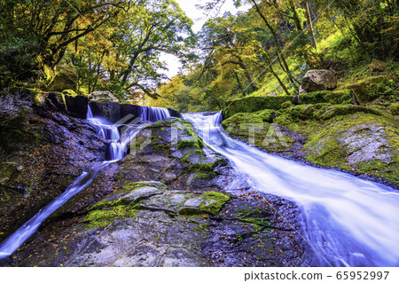 Kikuchi Gorge 43,000 waterfalls with beautiful autumn colors 65952997