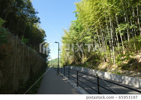 Road over the pass 65953197