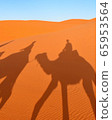 Morocco Sahara camel shadow 65953564