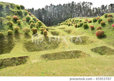 靜岡縣山中城跡 靜岡縣山中城跡 65953787