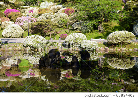 秋田市小月池春千秋公園 秋田市小月池春千秋公園 65954402