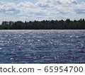 River ob in  summer, Siberia, Russia 65954700