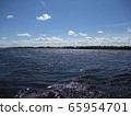 River  ob in summer, Siberia Russia 65954701