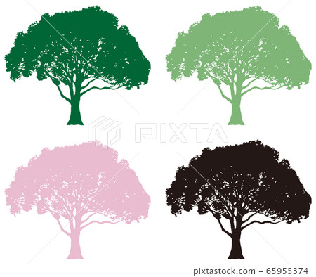 Camphor set 65955374