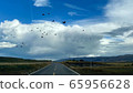 A straight path leading to a bird 65956628