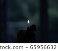 Writer   65956632