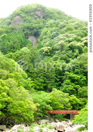 Fresh green Kikyo Gorge and Takimi Bridge 65956909