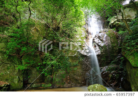 鮮綠色的Kikyo峽谷赤城瀑布(Fudo Falls) 鮮綠色的Kikyo峽谷赤城瀑布(Fudo Falls) 65957397