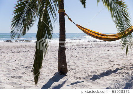 Magnificent view of a beach with a palm tree and a hammock tied to it 65958371