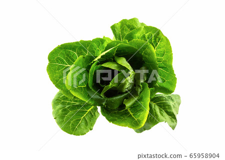 Cos vegetable. 65958904