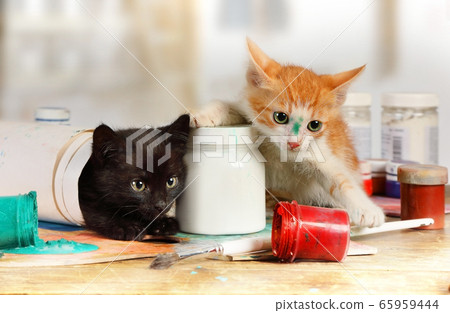 Two mischievous kittens played pranks on the 65959444