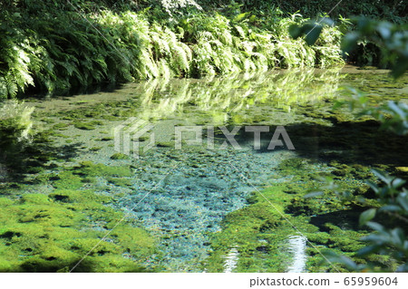 Water source Water source 65959604
