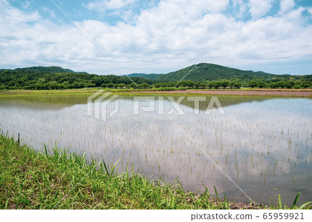 Satoyama early summer Paddy field wide angle c-2 cyan color Satoyama early summer Paddy field wide angle c-2 cyan color 65959921