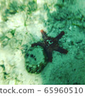 Sea	 65960510