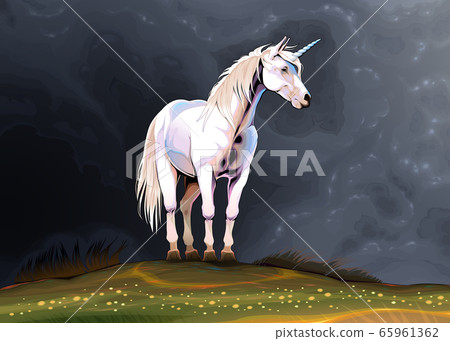 Unicorn Alone In The Nature 스톡일러스트 65961362 Pixta