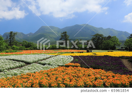 Kuju Mountain Range and Viola Field Kuju Mountain Range and Viola Field 65961854