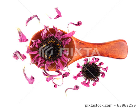Dried Echinacea flowers on wooden spoon, isolated 65962259