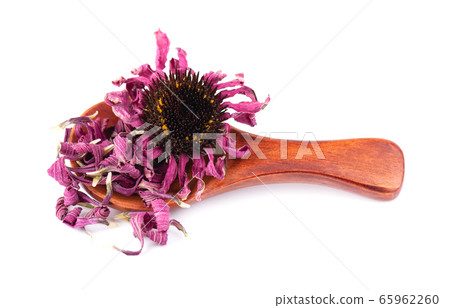 Dried Echinacea flowers on wooden spoon, isolated 65962260