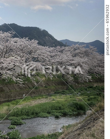 丹山S山 65962932