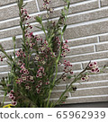Shirenegarika 65962939
