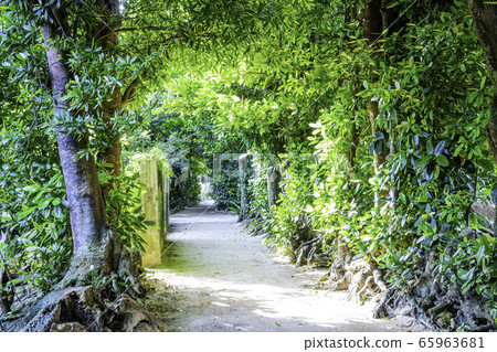 Popular tourist attraction of Okinawa Popular tourist attraction of Okinawa 65963681