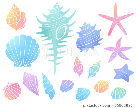 彩色貝殼和海星的插圖集 65963985