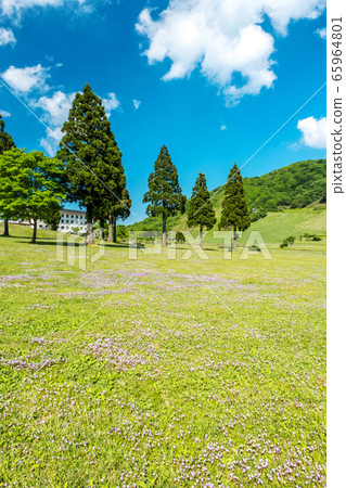 鳥取縣大山神樂町初夏風光 鳥取縣大山神樂町初夏風光 65964801