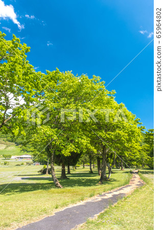 鳥取縣大山神樂町初夏風光 鳥取縣大山神樂町初夏風光 65964802