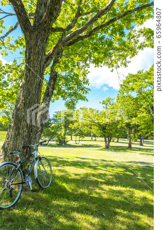 鳥取縣大山神樂町初夏風光 鳥取縣大山神樂町初夏風光 65964807