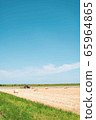 Agriculture vertical 65964865