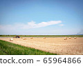 Agriculture side 65964866
