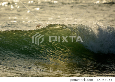 Sea swell wave with spray on top coming to beach Sea swell wave with spray on top coming to beach 65964933