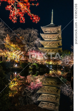 東治 東治 65965208