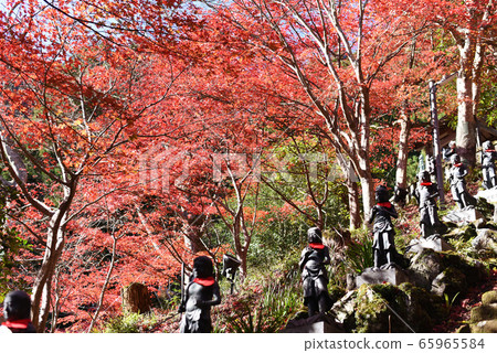 Oyama Temple Autumn leaves 65965584