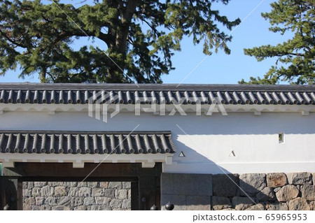 Odawara Castle in Spring 65965953