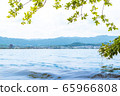 Water surface and branches and leaves 65966808