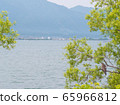 Hawk overlooking Lake Biwa 65966812