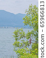 Hawk overlooking Lake Biwa 65966813